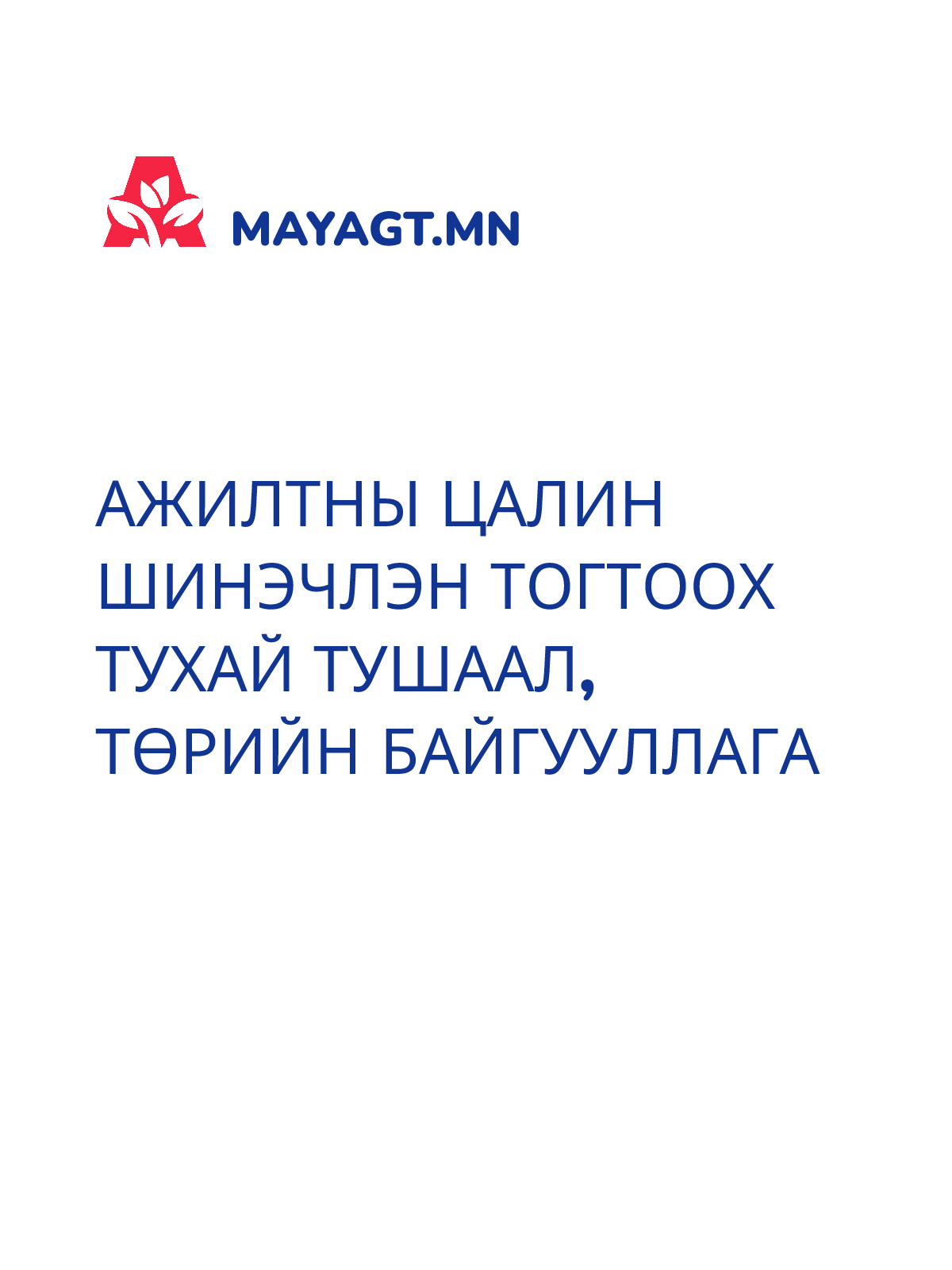 АЖИЛТНЫ ЦАЛИН ШИНЭЧЛЭН ТОГТООХ ТУХАЙ ТУШААЛ, Төрийн байгууллага