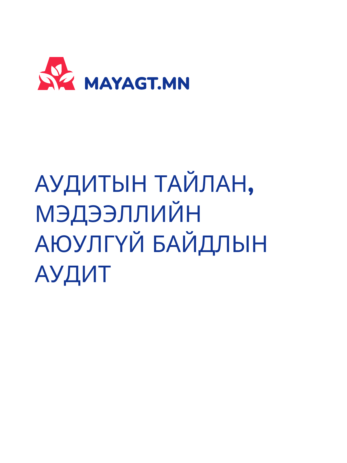 АУДИТЫН ТАЙЛАН, Мэдээллийн аюулгүй байдлын аудит