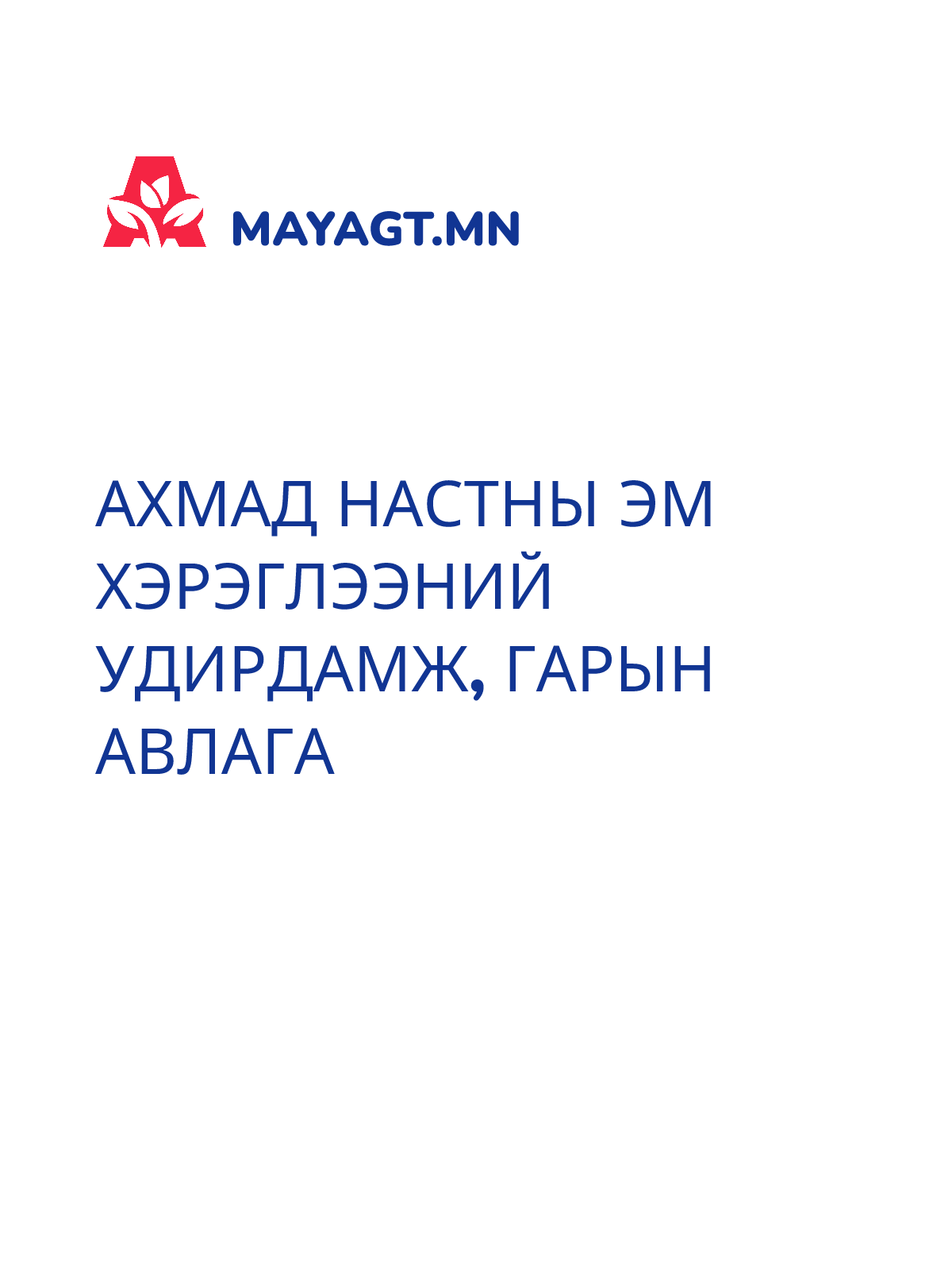АХМАД НАСТНЫ ЭМ ХЭРЭГЛЭЭНИЙ УДИРДАМЖ, Гарын авлага