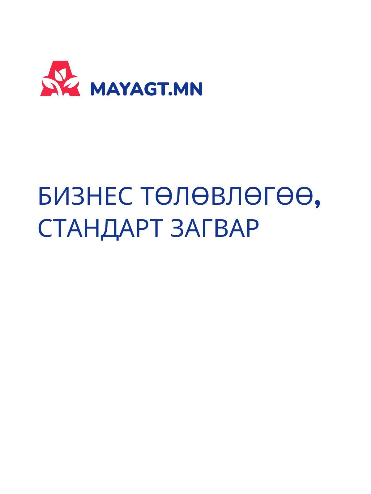 БИЗНЕС ТӨЛӨВЛӨГӨӨ, Стандарт загвар