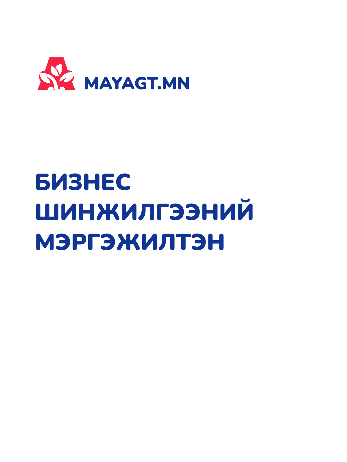 БИЗНЕС ШИНЖИЛГЭЭНИЙ МЭРГЭЖИЛТЭН