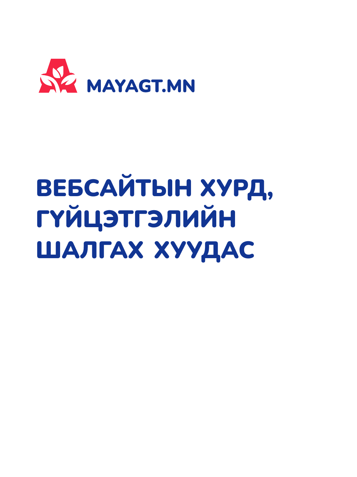 ВЕБСАЙТЫН ХУРД, ГҮЙЦЭТГЭЛИЙН ШАЛГАХ ХУУДАС