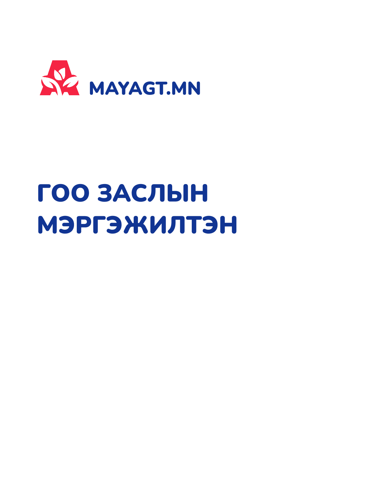 ГОО ЗАСЛЫН МЭРГЭЖИЛТЭН