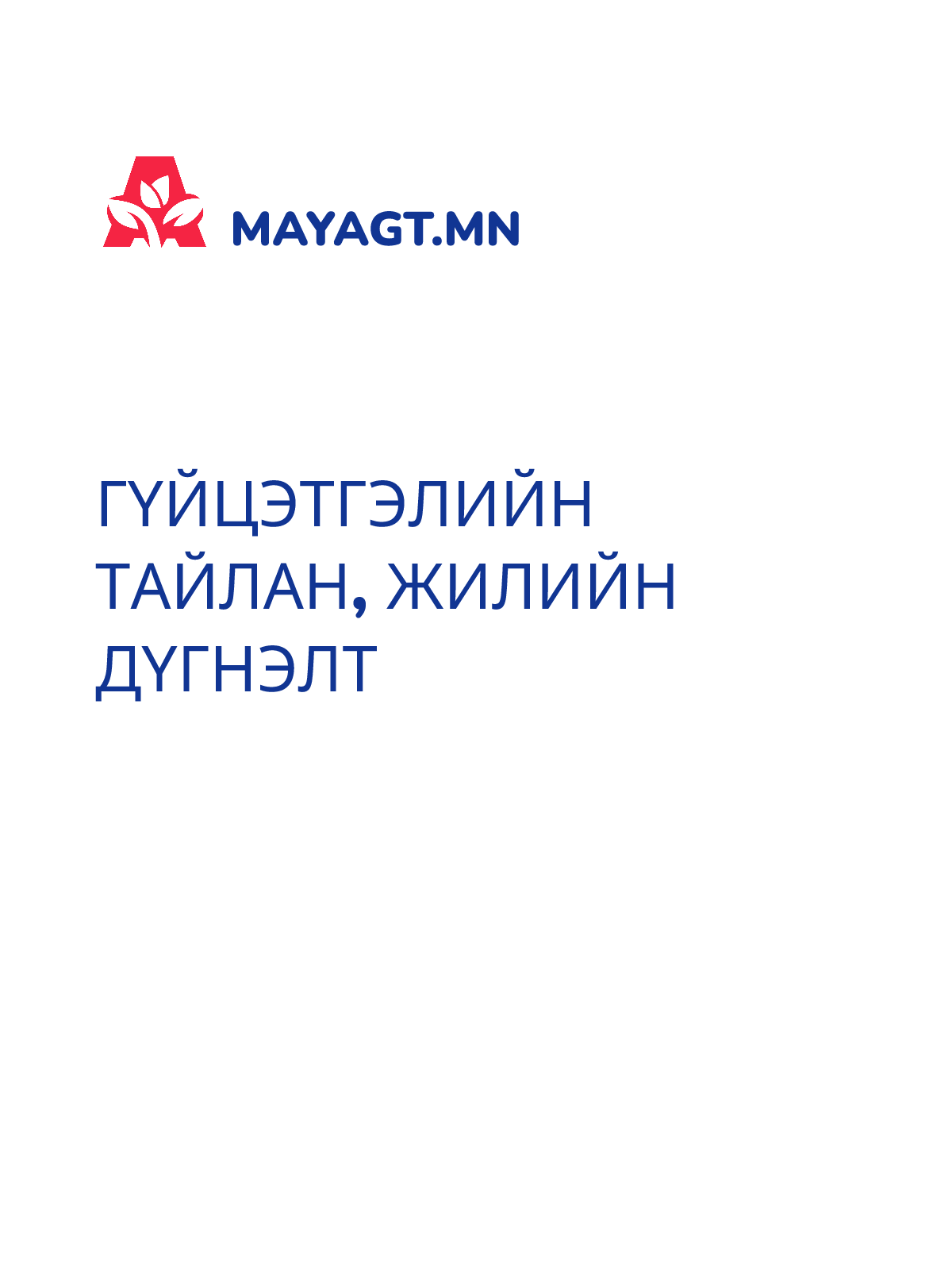 ГҮЙЦЭТГЭЛИЙН ТАЙЛАН, Жилийн дүгнэлт