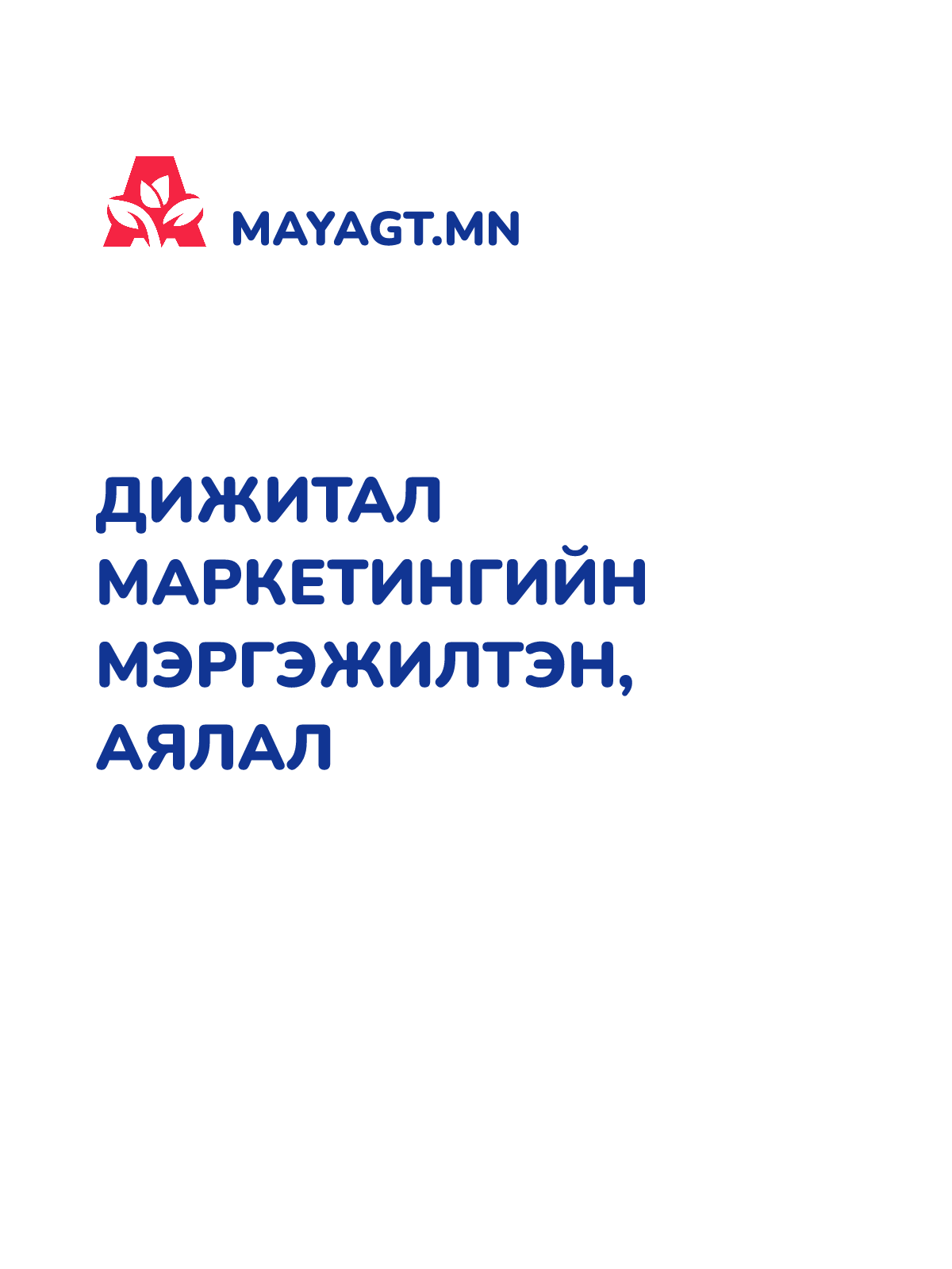 ДИЖИТАЛ МАРКЕТИНГИЙН МЭРГЭЖИЛТЭН, Аялал
