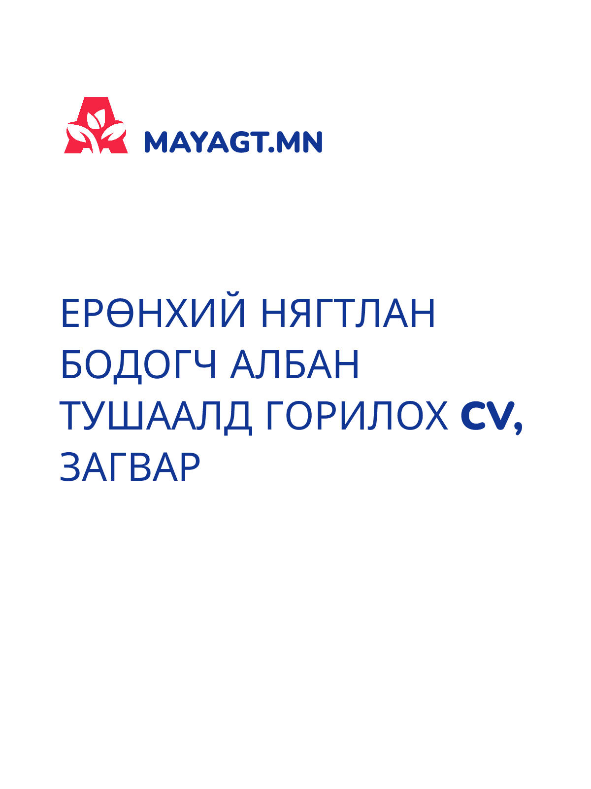 ЕРӨНХИЙ НЯГТЛАН БОДОГЧ АЛБАН ТУШААЛД ГОРИЛОХ CV, Загвар
