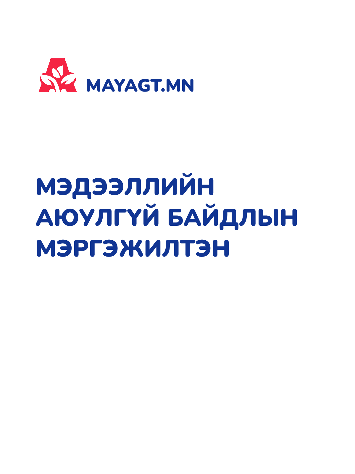 МЭДЭЭЛЛИЙН АЮУЛГҮЙ БАЙДЛЫН МЭРГЭЖИЛТЭН