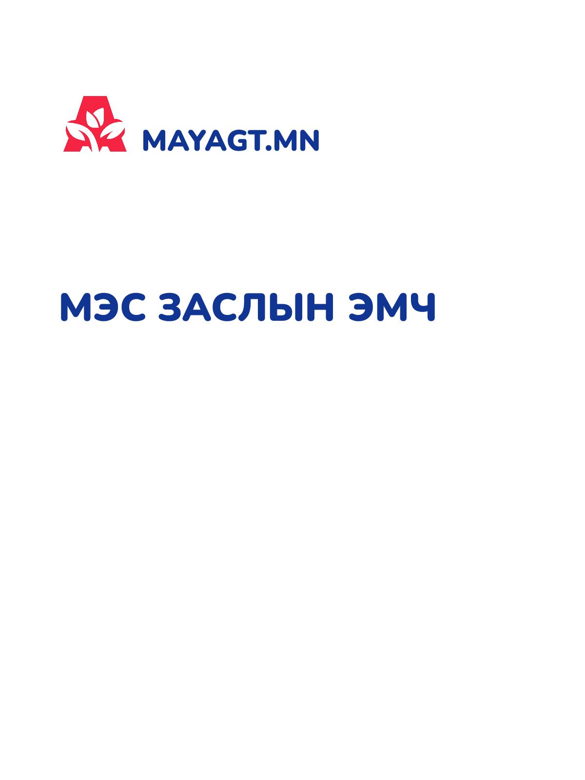 МЭС ЗАСЛЫН ЭМЧ