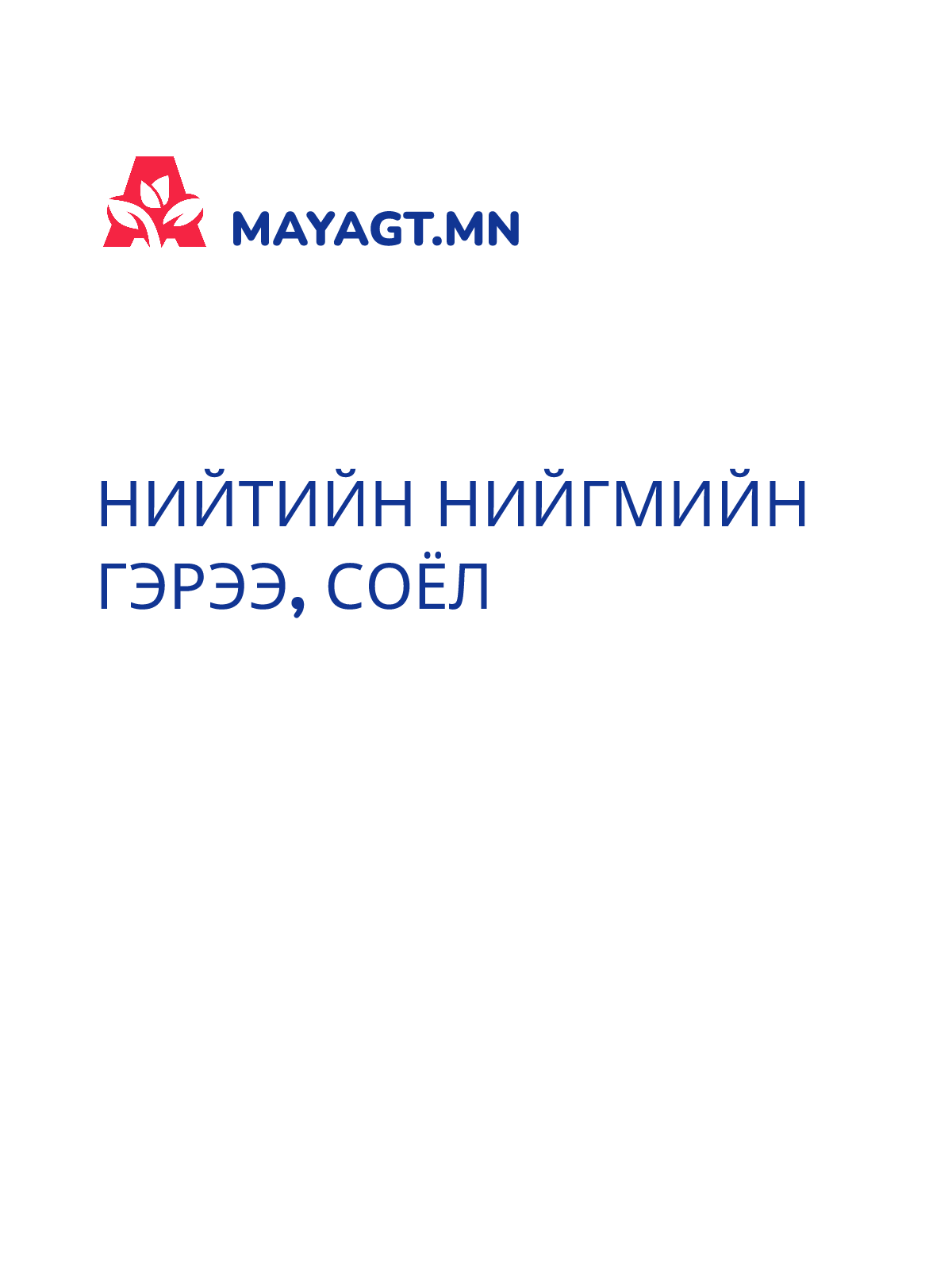 НИЙТИЙН НИЙГМИЙН ГЭРЭЭ, Соёл