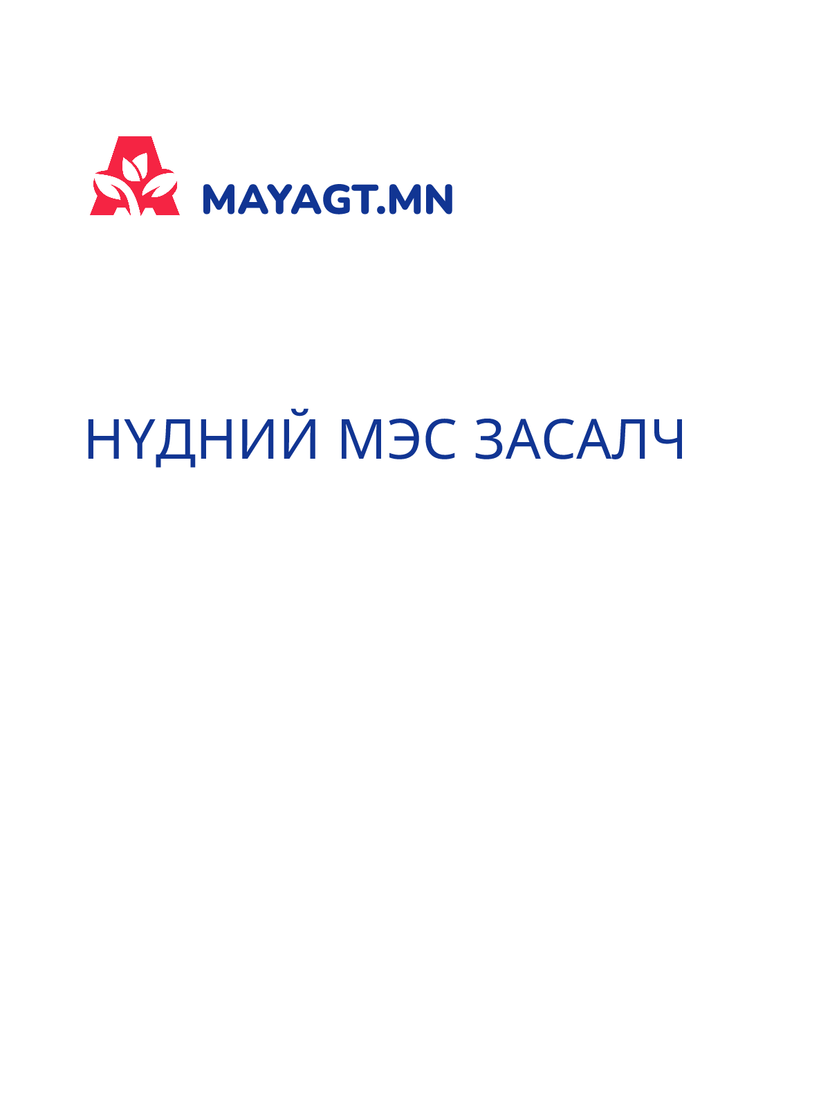 НҮДНИЙ МЭС ЗАСАЛЧ