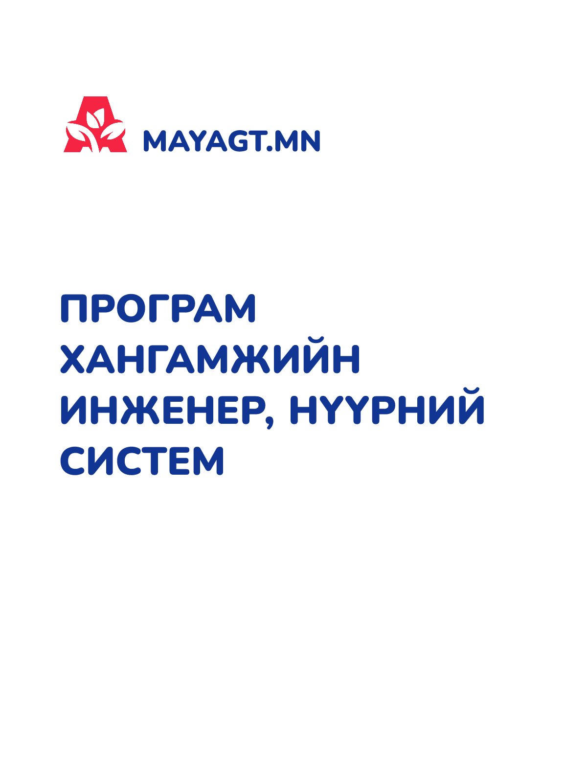 ПРОГРАМ ХАНГАМЖИЙН ИНЖЕНЕР, Нүүрний систем