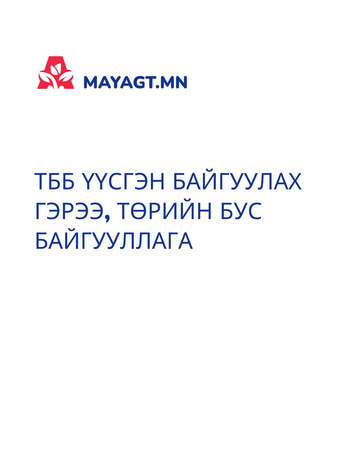 ТББ ҮҮСГЭН БАЙГУУЛАХ ГЭРЭЭ, Төрийн бус байгууллага