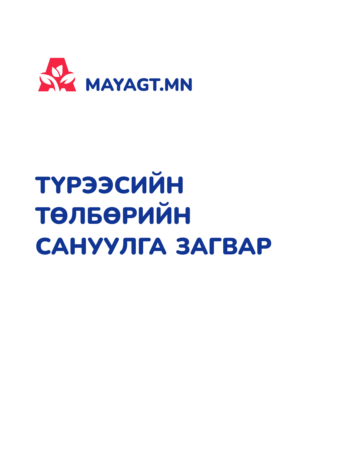 ТҮРЭЭСИЙН ТӨЛБӨРИЙН САНУУЛГА ЗАГВАР