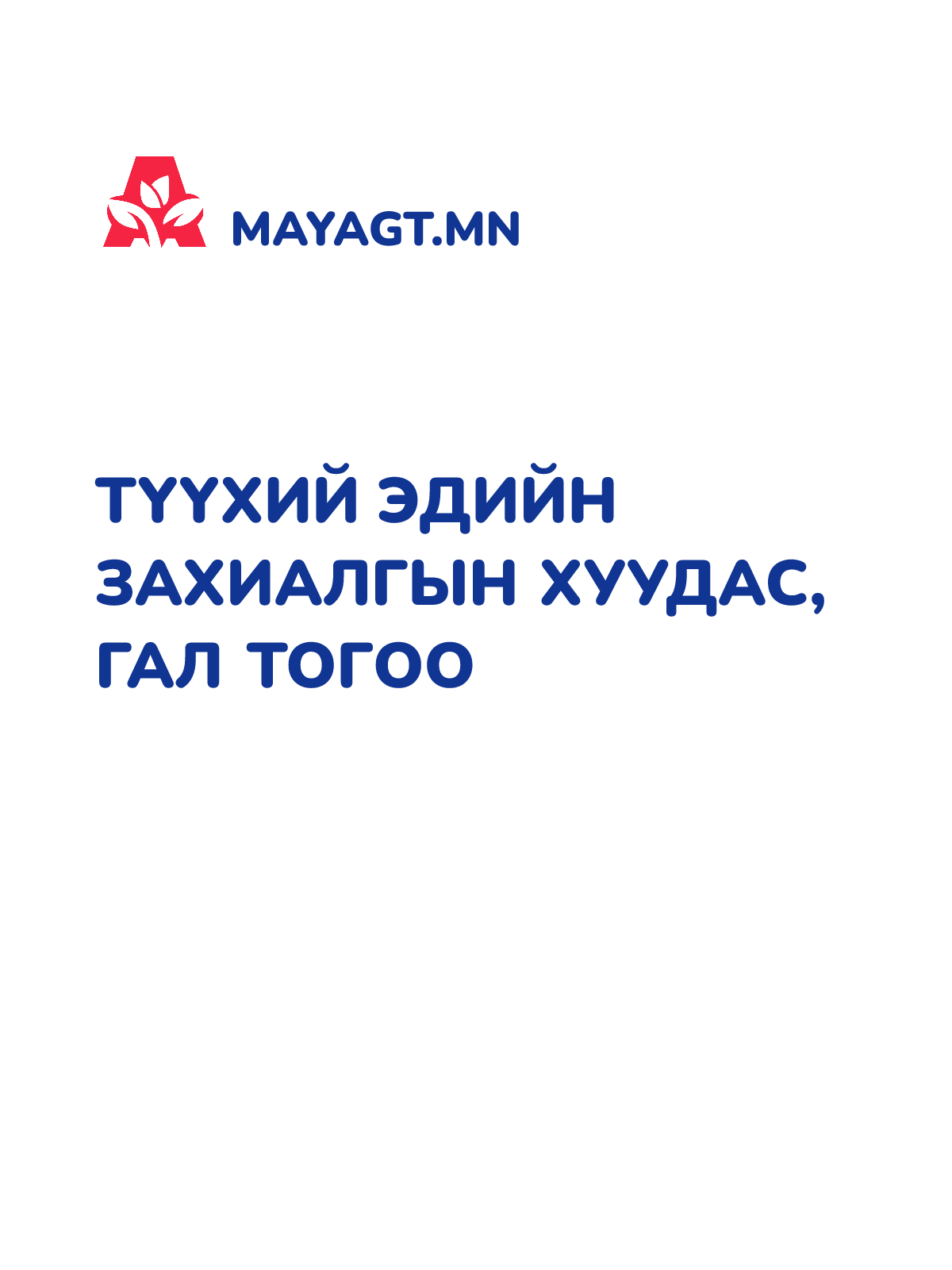 ТҮҮХИЙ ЭДИЙН ЗАХИАЛГЫН ХУУДАС, Гал тогоо