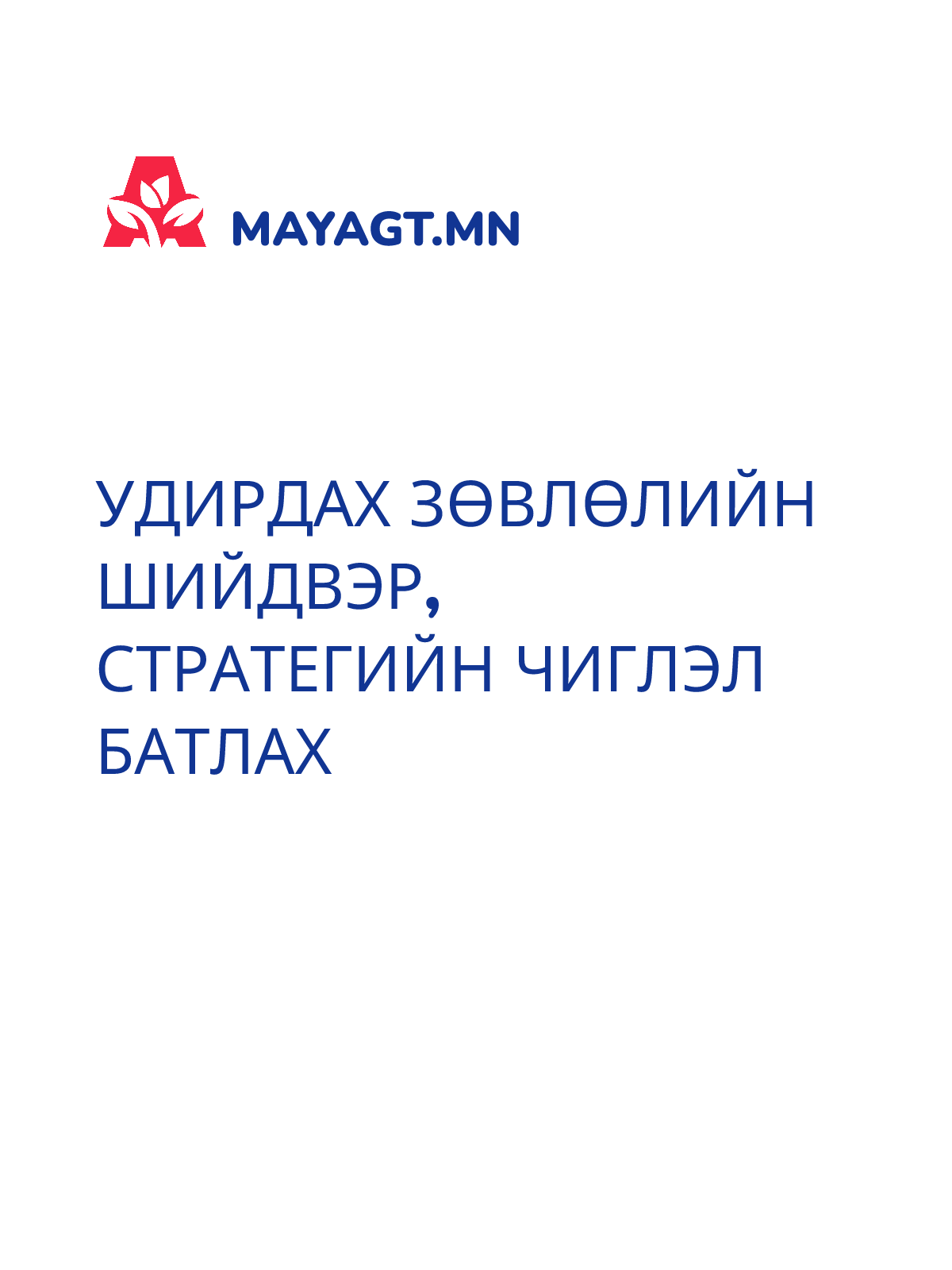УДИРДАХ ЗӨВЛӨЛИЙН ШИЙДВЭР, Стратегийн чиглэл батлах