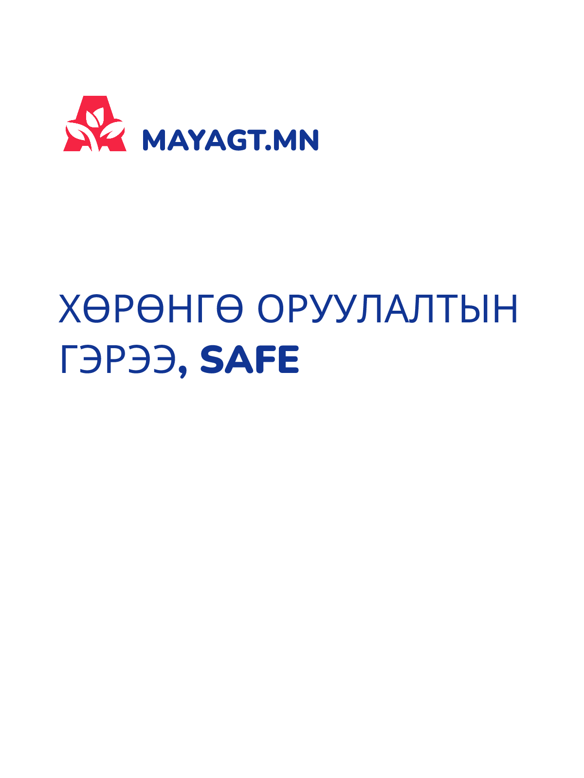 ХӨРӨНГӨ ОРУУЛАЛТЫН ГЭРЭЭ, SAFE