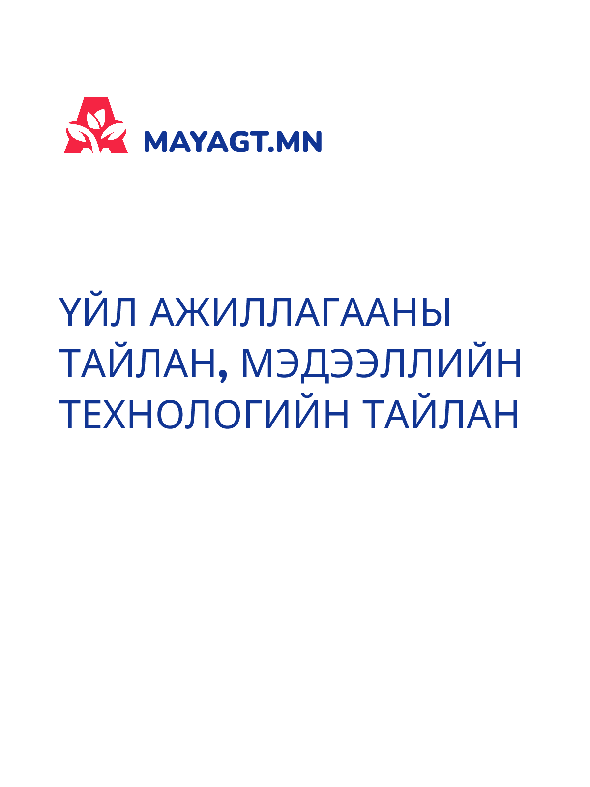 ҮЙЛ АЖИЛЛАГААНЫ ТАЙЛАН, Мэдээллийн технологийн тайлан
