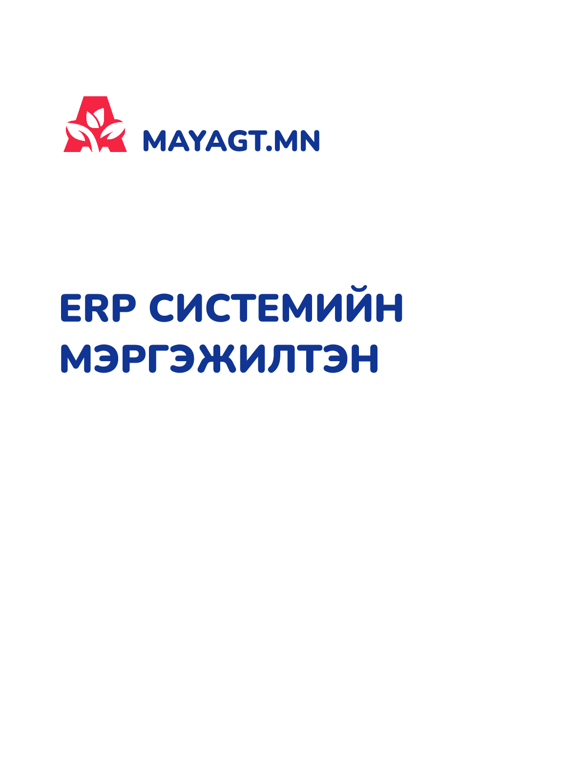 ERP СИСТЕМИЙН МЭРГЭЖИЛТЭН